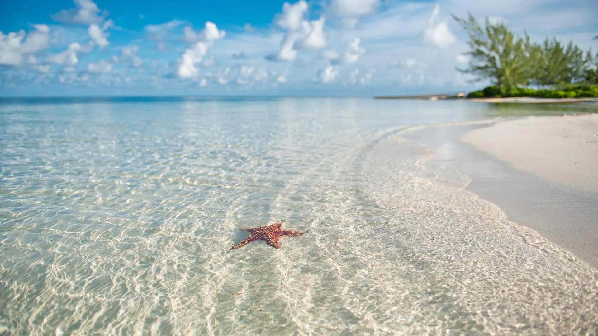 Crystal Kai Condo Driftwood Village Cayman-øerne